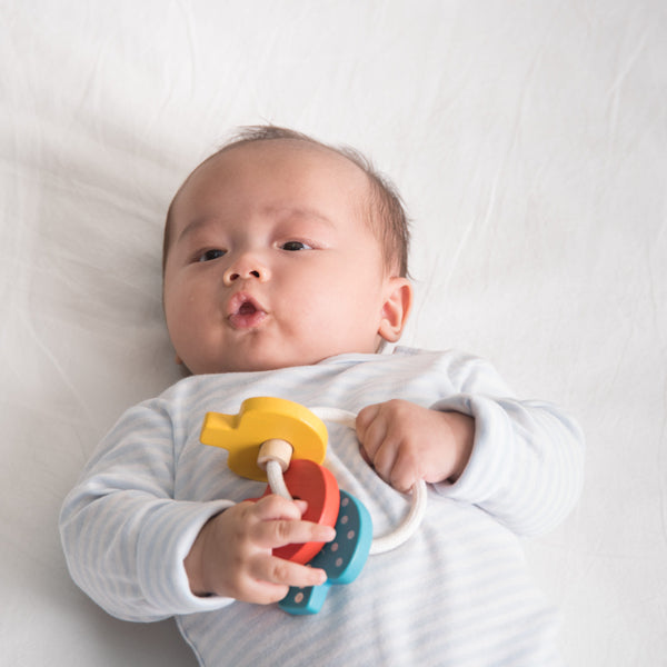 Plan Toys Baby Key Rattle Elenfhant