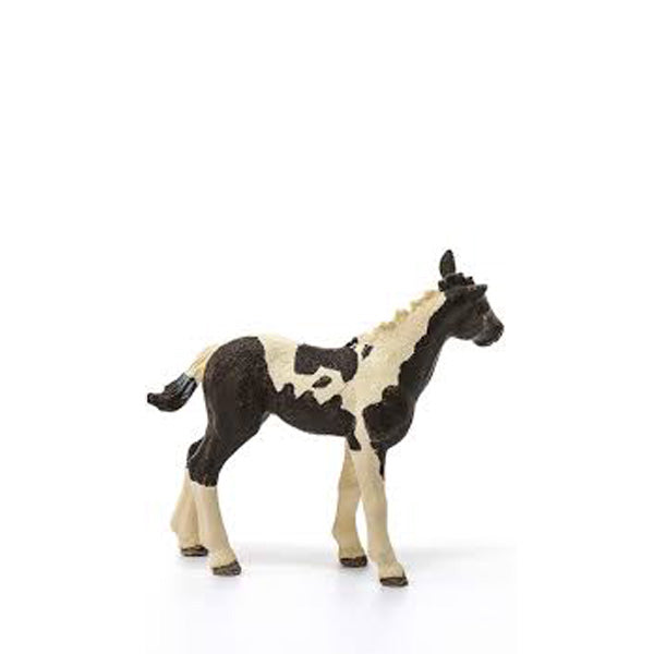 Schleich sales pinto foal