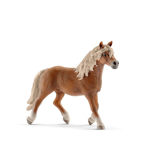 Schleich Horse - Haflinger Stallion – Elenfhant