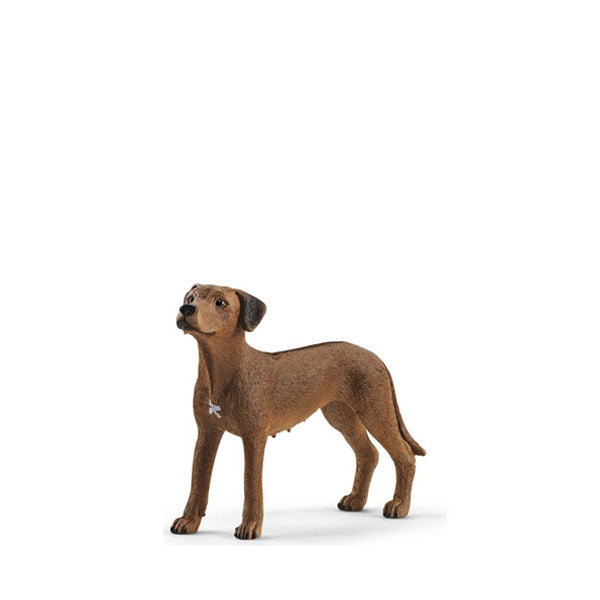 SCHLEICH Rhodesian Ridgeback Figur – 6,5x2x5,1 Cm, Realistisches Spielzeug Für Kinder Ab 3 Jahren