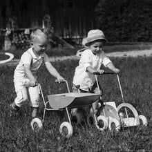 Sirch Sibis Franz Wheelbarrow