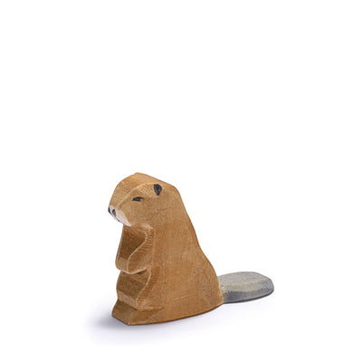 Ostheimer Beaver - Sitting