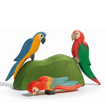 Ostheimer Parrot - Red