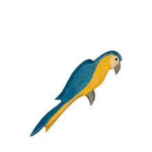 Ostheimer Parrot - Blue