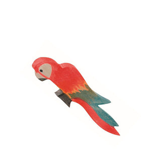 Ostheimer Parrot - Multicolor