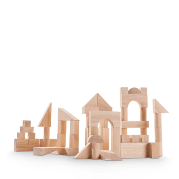 Plan Toys 50 Unit Blocks