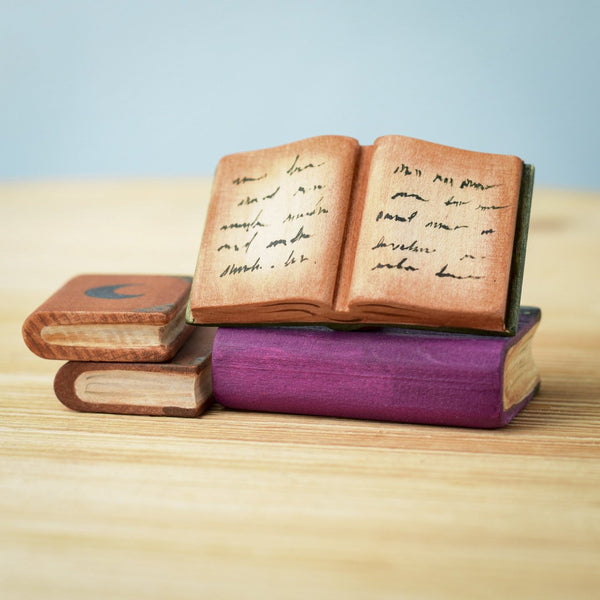 Bumbu Toys Books Set