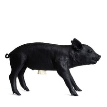 Areaware Reality Bank in the Form of a Pig - Matte Black