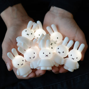 Miffy String Light - White