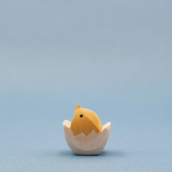 Brin d'Ours Chick in the Egg
