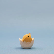 Brin d'Ours Chick in the Egg
