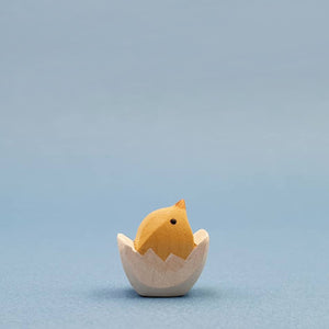 Brin d'Ours Chick in the Egg