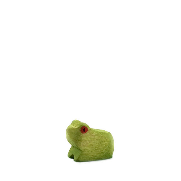 Brin d'Ours Frog