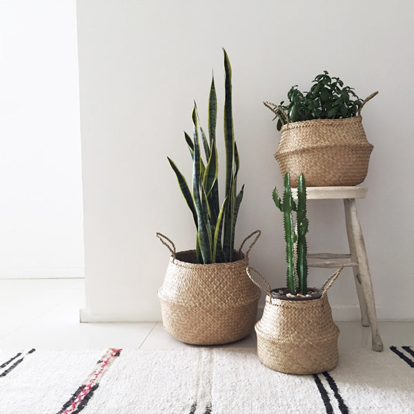 Fladis basket sales