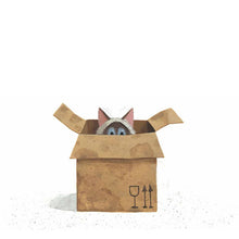 Een Huis voor Harry by Leo Timmers – Dutch