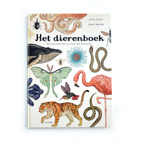 Het Dierenboek by Katie Scott and Jenny Broom - Dutch
