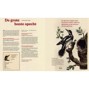 Het Heel Grote Vogelboek - Bibi Dumon Tak
