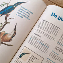 Het Heel Grote Vogelboek - Bibi Dumon Tak