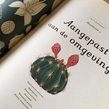 Het Plantenboek by Katie Scott and Kathy Willis – Dutch