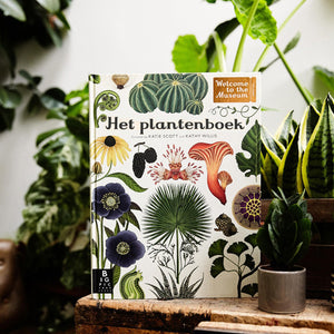 Het Plantenboek by Katie Scott and Kathy Willis – Dutch