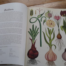 Het Plantenboek by Katie Scott and Kathy Willis – Dutch