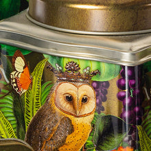 Madame Treacle Tea Caddy - Owl