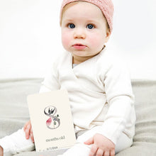 Milestone ABC Baby Photo Cards