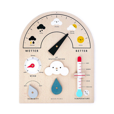 Moon Picnic My Weather Station