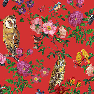 Minikane & Nathalie Lété Baby Doll Jumpsuit NOA - “Le Royaume des Oiseaux”