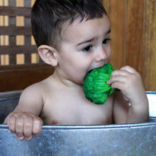 Oli and Carol Brucy the Broccoli