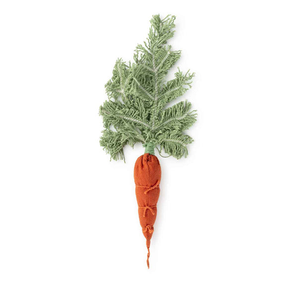 Oli & Carol DIY - Cathy The Carrot