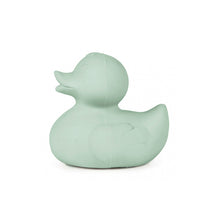 Oli and Carol Elvis the Duck – Mint