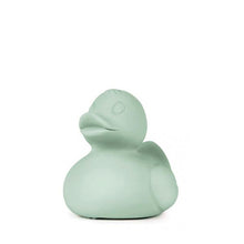 Oli and Carol Elvis the Duck – Mint