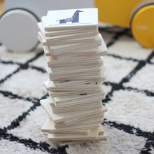 Ooh Noo Memory Game - Animal