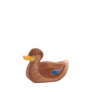 Ostheimer Duck - Swimming
