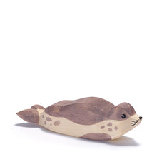 Ostheimer Sea Lion – Resting