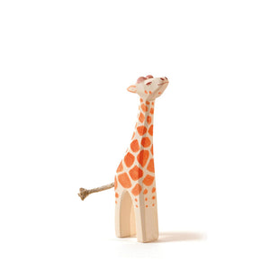 Ostheimer Giraffe Small Head High