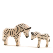 Ostheimer Zebra - Small