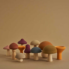Raduga Grëz Mushrooms