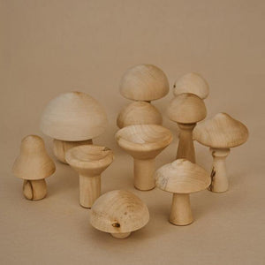 Raduga Grëz Mushrooms - Natural