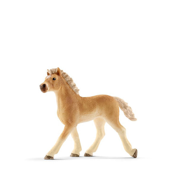 Schleich haflinger shop foal