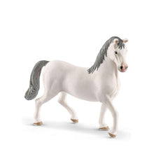 Schleich Horse - Lipizzaner Stallion