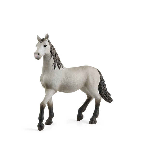 Shlike horse sales