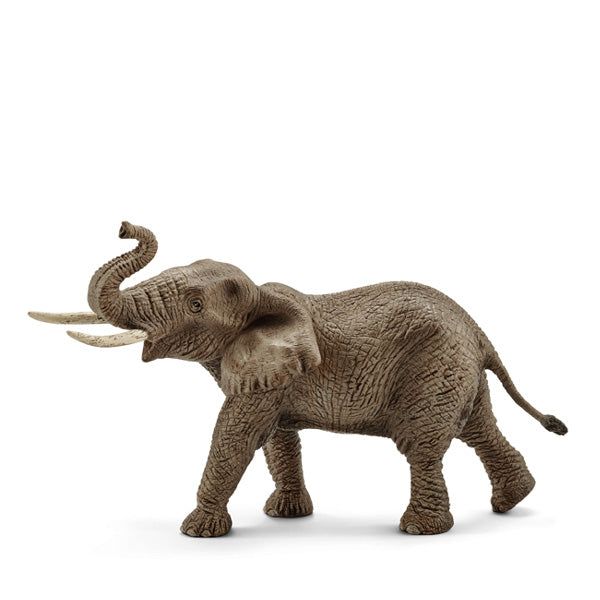 Schleich baby elephant 2025