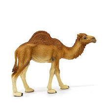 Schleich Dromedary