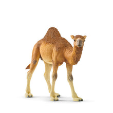 Schleich Dromedary