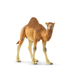 Schleich Dromedary