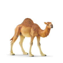 Schleich Dromedary