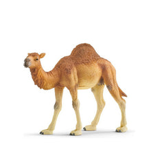 Schleich Dromedary