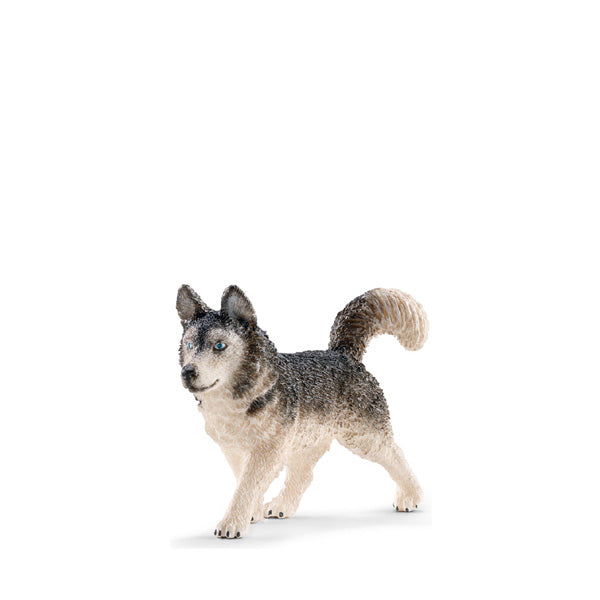 Schleich husky online